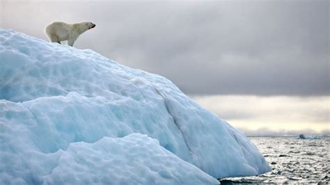 UN Arctic chief: ‘Climate change isn’t linear – it’s accelerating ...