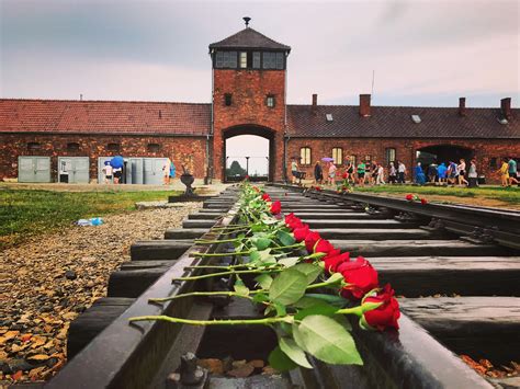 Auschwitz tour from Krakow – Infomo