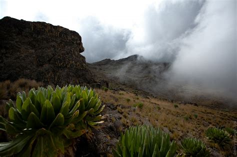 Landscape in African Mountains | 100knot