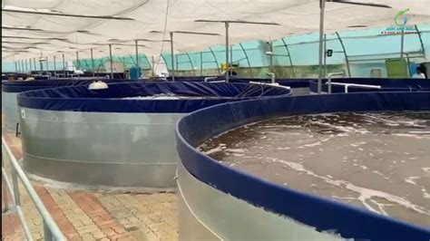 To assist in the development of a highly competitive, sustainable aquaculture industry that will ...