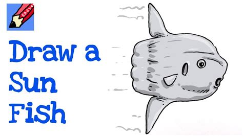 How To Draw A Sunfish - Seatblow22