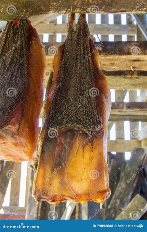 Iceland s fermented shark stock photo. Image of meat - 79092668