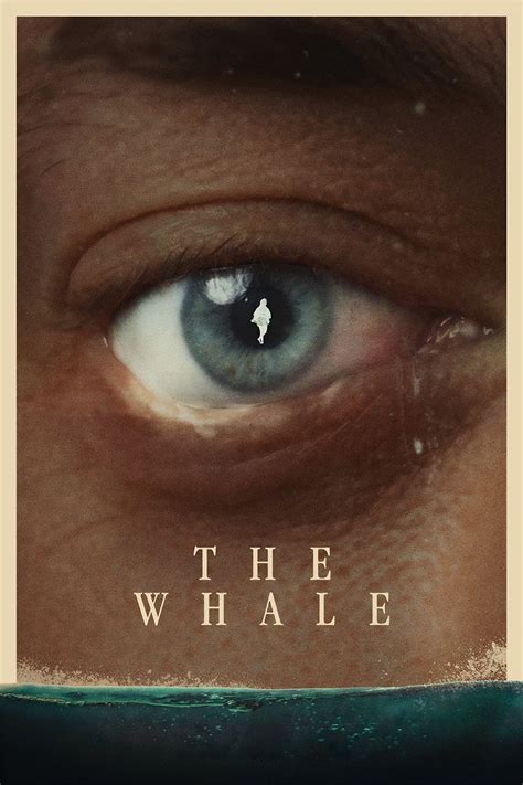 The Whale 2022 movie mp4 mkv download - Starazi.com