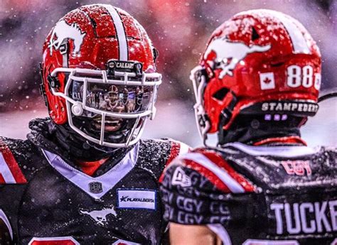 Bring on the 110th Grey Cup playoffs: CFL TV ratings slump in final 2023 regular season week ...