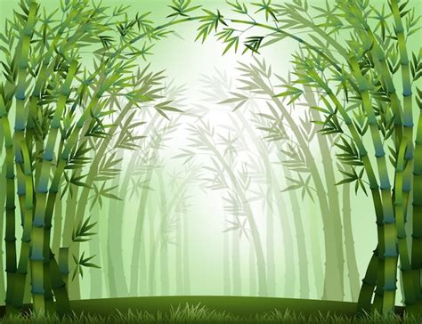 Bamboo Images | Free Vectors, Stock Photos & PSD