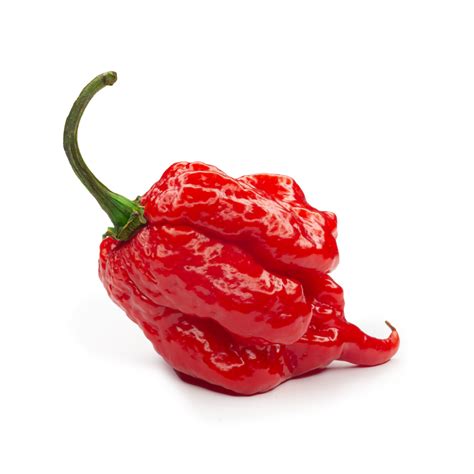 Carolina Reaper: Officially The Hottest Pepper In The World