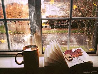 verstayf | Cozy rainy day, Coffee and books, Hotel collection bedding