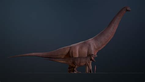 Argentinosaurus vs Tyrannosaurus Rex 3d size comparison : r/Dinosaurs