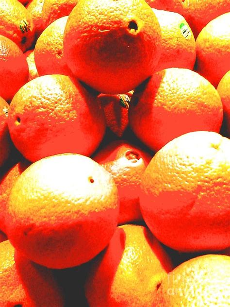 Navel Oranges Photograph by Linda Wild - Fine Art America