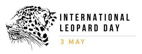 Draw a leopard - International Leopard Day