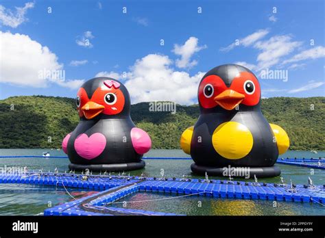 Hualien, Taiwan, 15 August 2022: Giant rubber duck in Liyu Lake in Hualien of Taiwan Stock Photo ...