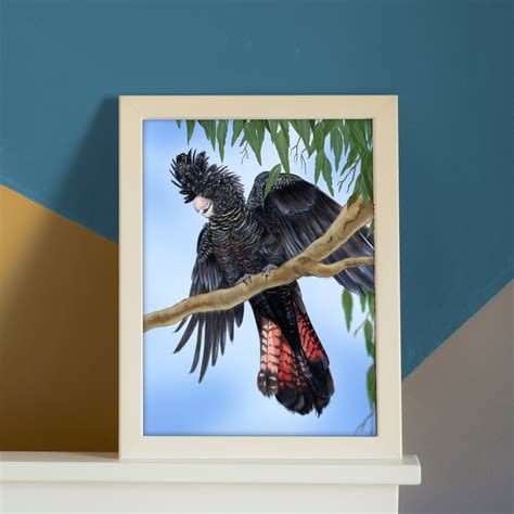 Red-tailed Black Cockatoo Downloadable Print – Drawing with Pri