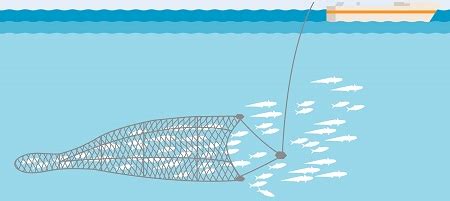 Fishing Methods and Techniques | Trawling