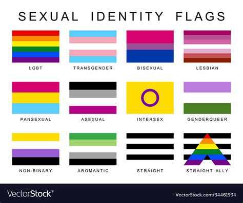 Sexual identity pride flags set lgbt symbols flag Vector Image