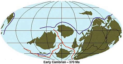 Cambrian Period | Natural History Museum