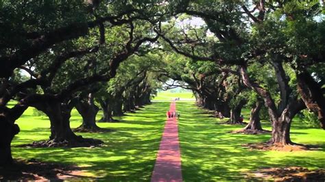 New Orleans Oak Alley Plantation Tours - YouTube