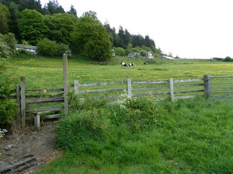Hillside meadow with two running ponies © Jeremy Bolwell cc-by-sa/2.0 :: Geograph Britain and ...