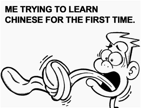 Best Learning Chinese Memes - Domino Chinese