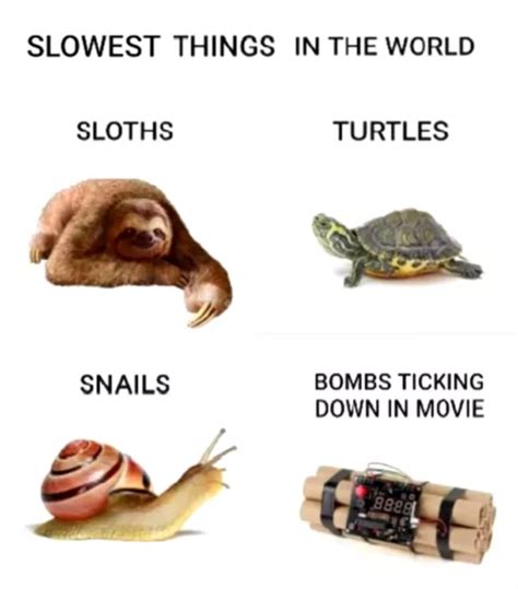 So slow.. - Meme by 0hHelloThere :) Memedroid