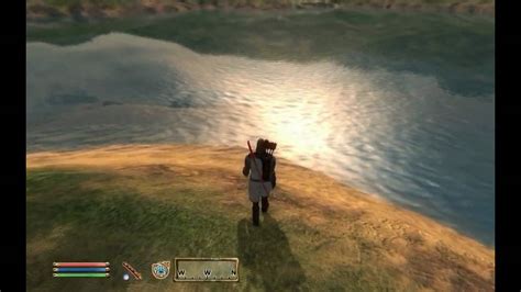 Elder scrolls oblivion graphics overhaul mod - advisorslio