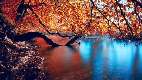 Wallpaper Of HD Autumn, Stunning HD Autumn, #9781
