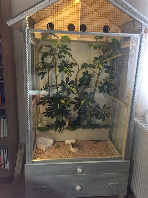 My indoor aviary for my gouldian finches .diy project in 2020 | Diy ...