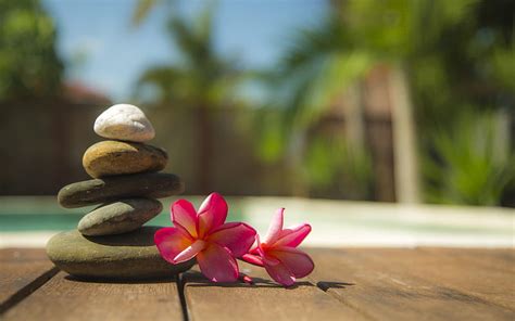 Flowers and stones, Table, Red, Flowers, Stones, HD wallpaper | Peakpx