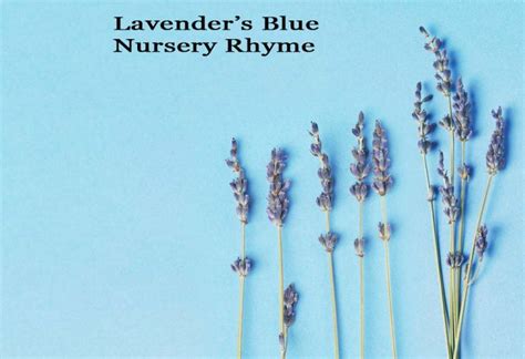 Lavender’s Blue | Nursery Rhyme For Kids With Lyrics