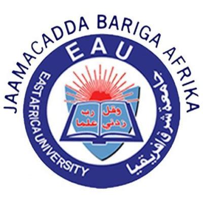 ☑️East Africa University — Consulting Organization from Somalia, experience with WB — Education ...