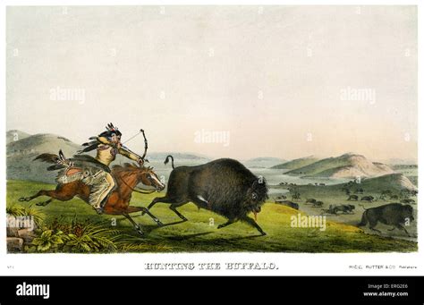 Native American Indians buffalo hunting in the great plains with bows ...