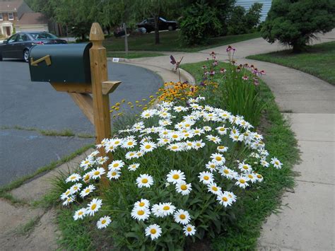 Sweet Garden Escapes: The Essence of Summer | Garden, Flower garden, Summer