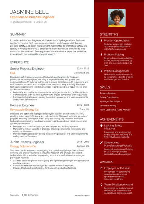 5 Process Engineer Resume Examples & Guide for 2023