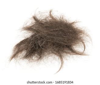 5,040 Hair tuft Images, Stock Photos & Vectors | Shutterstock