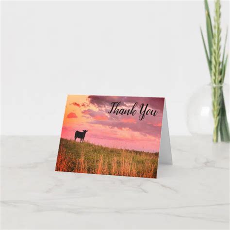 Cow Silhouette at Sunset Thank You Note Card | Zazzle