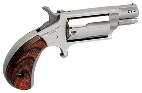 NAA NAA22MSP Mini-Revolver 22 Mag 5rd 1.13" Stainless Steel, Rosewood ...