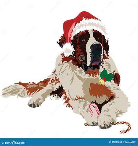 Saint Bernard In Hat Santa Claus Stock Photos - Image: 35036853