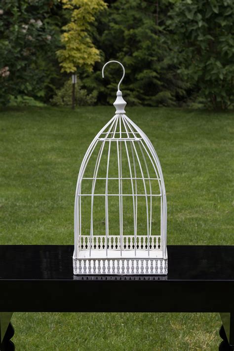 Pure White Bird Cage www.thestandrentalco.com White Bird, Bird Cage, Pure White, Hanging Chair ...