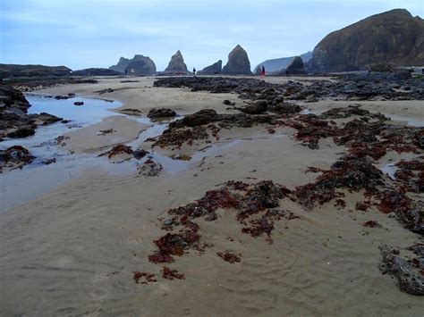 THE WAY I SEE IT.: 4TH OF JULY EARLY MORNING NEGATIVE TIDES IN OCEANSIDE, OREGON