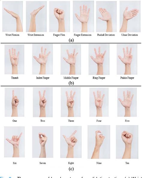 Figure 3 from Hand Gesture Recognition and Finger Angle Estimation via ...