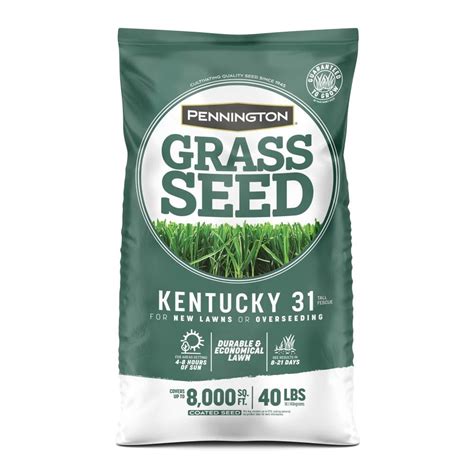 Tall fescue Grass Seed at Lowes.com