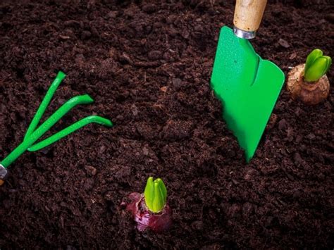 Types Of Soil For Gardening