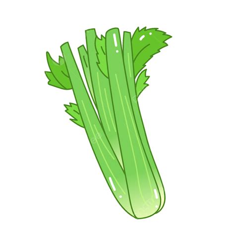 Dibujos Animados Dibujados A Mano Verduras Apio Línea Ilustración Vector Elemento Decorativo PNG ...