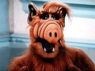 Gordon Shumway (ALF) | ALF Wiki | Fandom