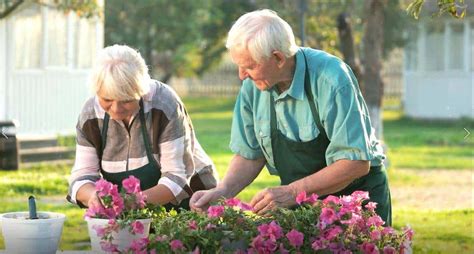 Incredible Benefits of Gardening for Seniors