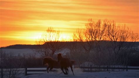 Southern Alberta Weather 2014 | CTV News