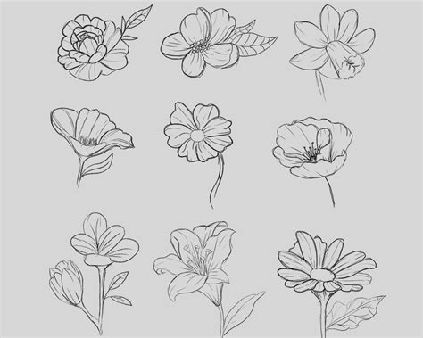 How To Draw A Flower Step By Step With Pencil For Beginners