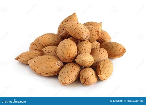 Almonds In The Shell Stock Images - Image: 17256214