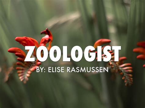 🔥 [30+] Zoology Wallpapers | WallpaperSafari