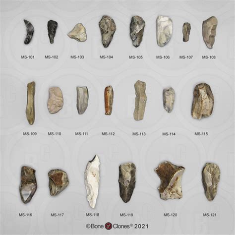 Set of 21 Neanderthal Tools - Bone Clones - Osteological Reproductions