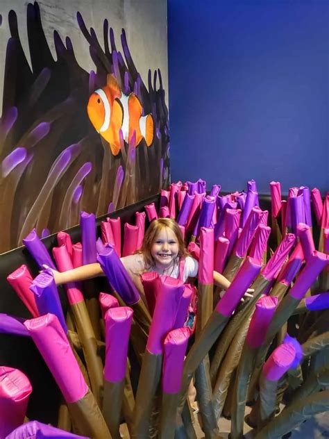 Tennessee State Aquarium | Nashville Fun For Families